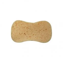 Sponge